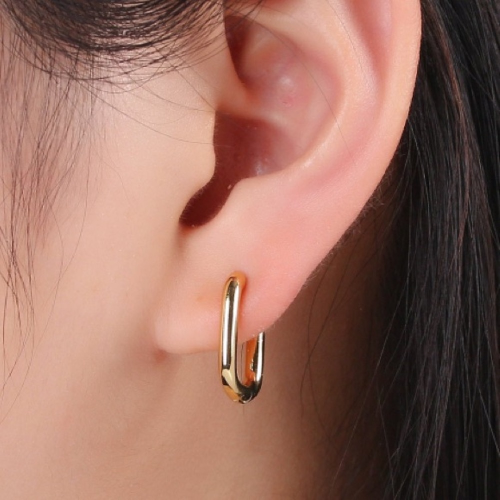 Simple Gold Lever Backs Earrings